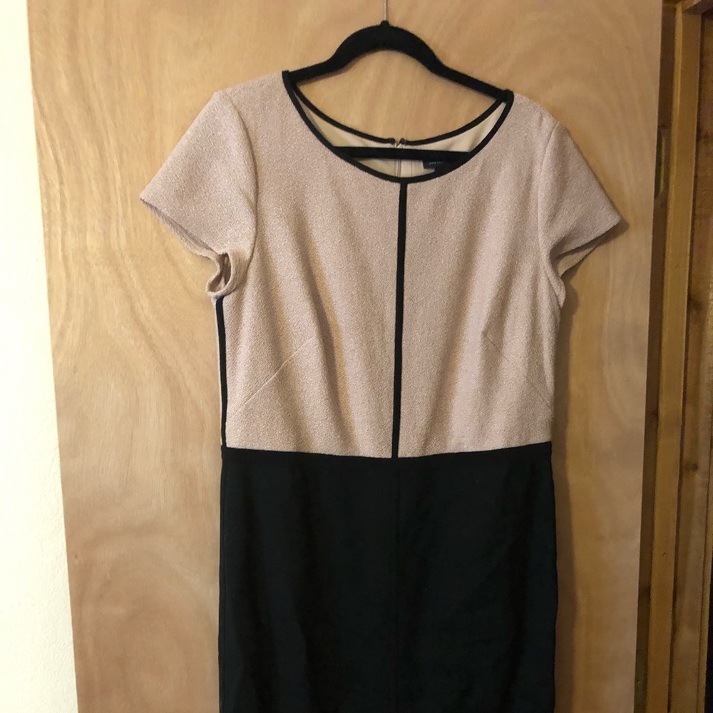 Ann Taylor beige and black dress, size 12